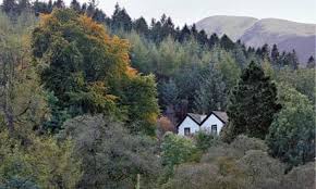 Cottage in the woods poking through the trees